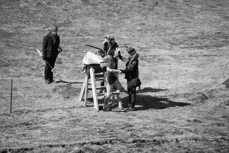 Valkyrie Wonder Woman, defeated by an Icelandic sheep fence.